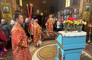 � ����������� ������� ������� �������� �������� ��������� �������� �� ����������� ����� �. ������