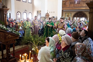 �������� ����� �������� � ���������