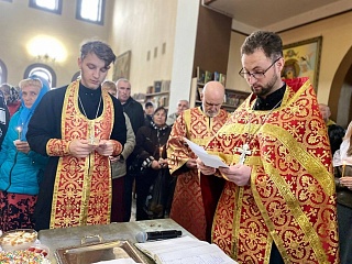 ���� ����������� ����������� �������